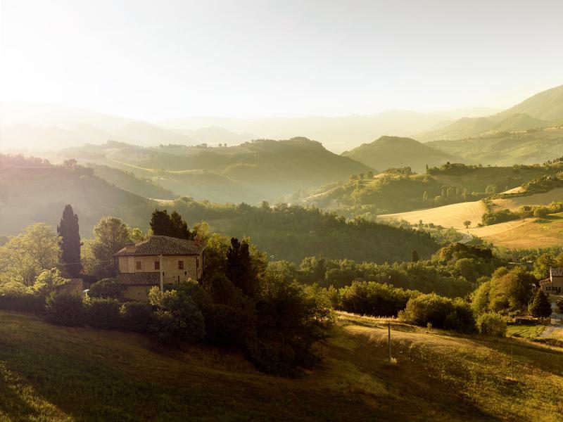 Urbino