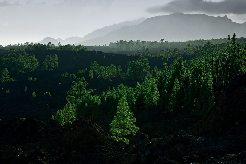 Teide National Park